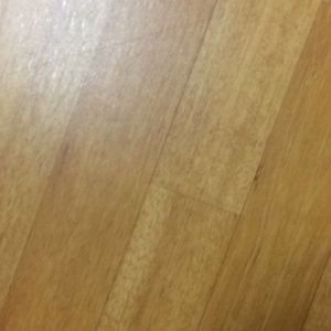 Meet your Posher, Sandra rodriguez